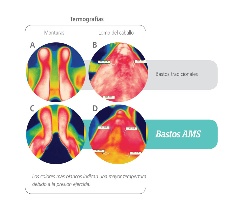 Grafico AMS- esp